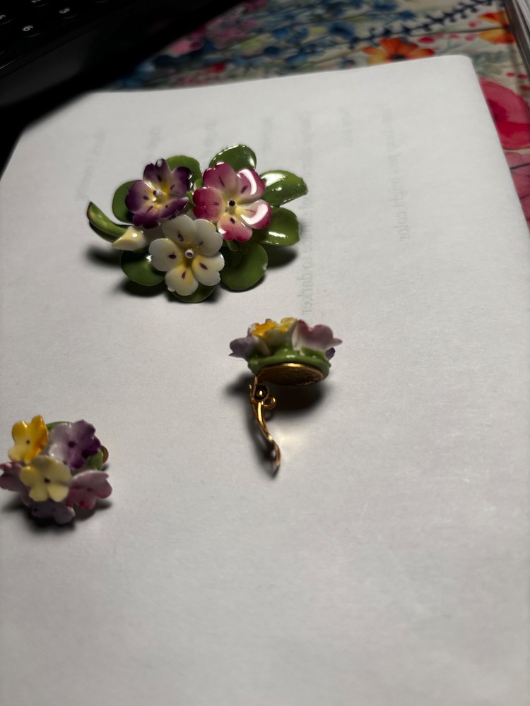 broach and clip earrings vintage