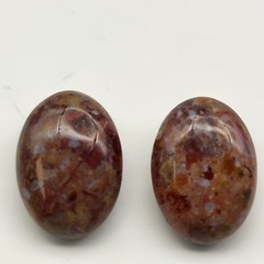 Beautiful vintage petrified wood natural stone clip earrings