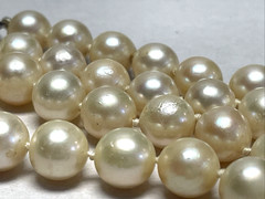 Vintage Akoya Cultured Pearl Necklace 15in Choker 7.8mm Cream Knotted Silver
