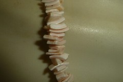 PALE PINK PUKA SHELL BEADS 9″L BOHO NECKLACE #195B