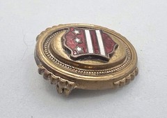 Vintage Gilt Brass Top Crest Shield Pin White / Red Enameled Stars Stripes