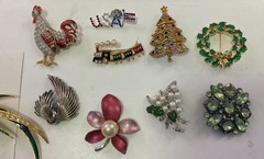 Miscellaneous Lot Of Brooches Lot Of 10 Used ￼