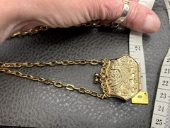 Vintage Bird Peacock Locket Purse Pendant Gold Tone Necklace Chain 24”