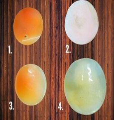 Cameos: Group of 4 Vintage Antique Hand Carved Shell Cameos