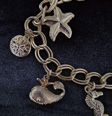 Vtg Lot Gold Tone Nautical Charm Bracelet Sea Turtle & Faux Pearl Crab Brooch