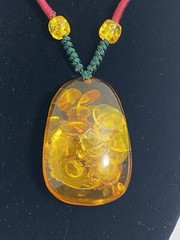 Reconstituted Amber Fossil Insect Pendant Necklace Adjustable Paracord