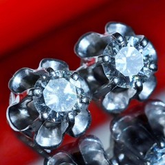 14k white gold earrings 0.50ct natural diamond screwback flower stud 1.95g N3762