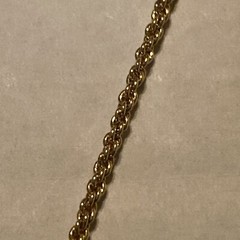 NWT Carol Lee Heart Goldtone Carolee Necklace Nice Chain Nice Detailed Pendant