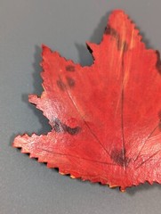 Vintage Painted Wood Red Orange Fall Autumn Maple Leaf Curved Pin