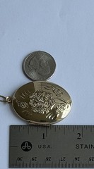 N/C 12k Gold Filled Chain & Etched Floral Locket Pendant Necklace