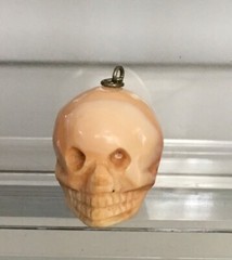 Victorian Conch Coral Memento Mori Skull Pendant 21mm Pre-drilled