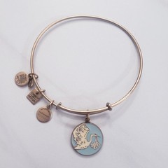 Lot of 9 Alex and Ani (+) Energy Bracelets & One Box – Initials, Disney Minnie