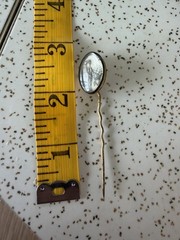 Antique Georgian Sentimental Sepia Painting Stickpin Ivory under Crystal