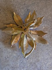 Weiss Poinsettia Brooch, Gold Plated Red Enamel, 1950s Vintage Christmas