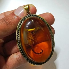 Amber scorpion pendant, natural insect fossil, vintage archaeological jewelry