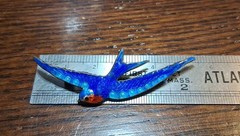 Antique Guilloche Enamel Bluebird Pin Brooch Slight Damage See Pics/Description