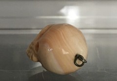 Victorian Conch Coral Memento Mori Skull Pendant 21mm Pre-drilled