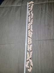 Vintage Cowrie Shell Wooden Beads Lei Necklace 1970s Bohemian 21 In