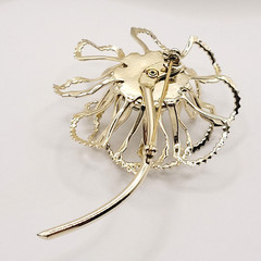 Sarah Coventry Allusions AB Crystal Gold Tone 1968 Clip On Earrings & Brooch Set