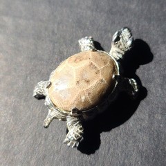 Vintage Petoskey Stone Silvertone Turtle Tortoise Brooch Pin Fossilized Coral