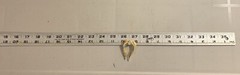 Vintage Sterling Silver Angel Wing Pendant Necklace 20” Gold Over 925
