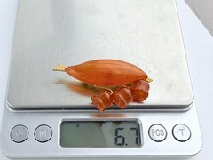 Vintage Russian Amber Factory Lily Of The Valley Amber Pin Brooch DAMAGED