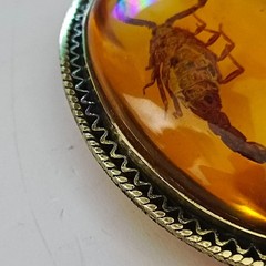 Amber scorpion pendant, natural insect fossil, vintage archaeological jewelry