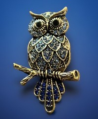 Rhinestone Owl Brooch Pin: Bird Costume Jewelry