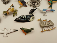 Vtg Bird Loon Duck Seagull Birds and Blooms Brooch Pin lot of 12
