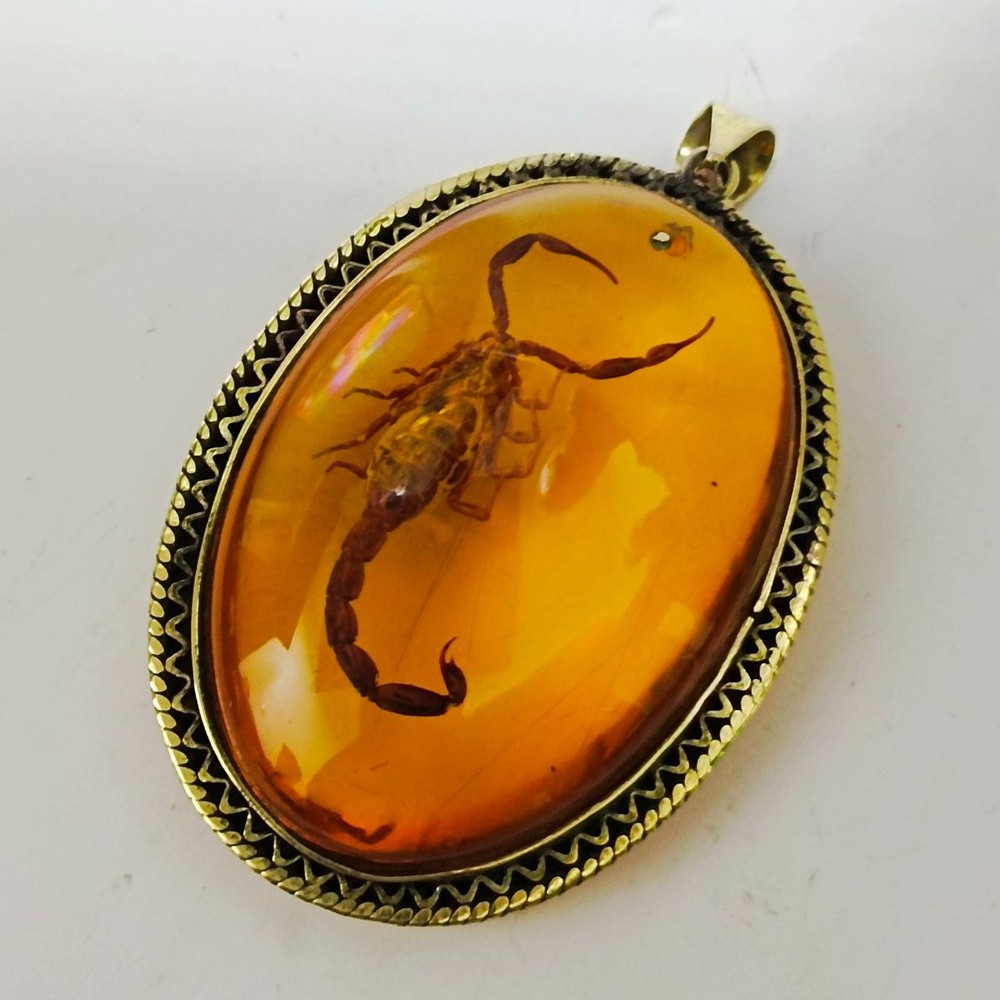 Amber scorpion pendant, natural insect fossil, vintage archaeological jewelry