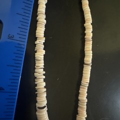 Puka Shell Turquoise Beaded Necklace