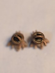 AJC marked set of 2 matching vintage bee pins w Rhinestones and Screw Back