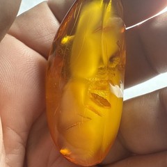 Pendant Amber Baltic Egg Yoke Big 2.25” Piece 15.5 Grams Antique
