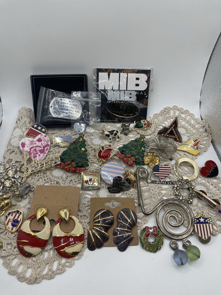 Huge Lot Of Pins, Costume Jewelry , Earrings And One Keychain