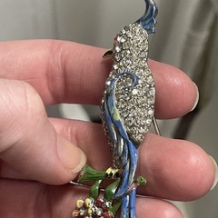 CORO Duette Brooch: Blue Calopsitta / Birds of Paradise