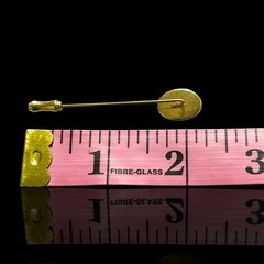 Vintage Gold Tone Hand Painted Flower Butterfly Stick Pin Garden Spring Floral