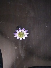 Three Vintage Elastic Rings Two Flower And One Jewel One Size Fits All
