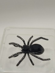 Black Rhinestone Spider Brooch Unbranded
