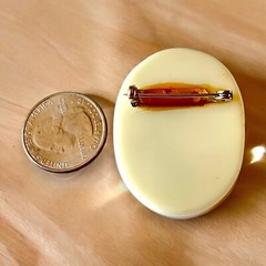 Lucite Floral Brooch 1960s Resin Pressed Flower Botanical Pin