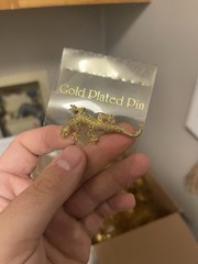 Huge Estate Pin Brooch Lot Gold Plated Vintage Pins Animals Holidays 20lbs NOS
