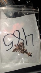 Christmas tree brooch