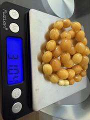 Vintage Egg Yolk Amber Graduated Bead Necklace 31g Old Baltic Amber Necklace