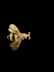 Vintage Lauren Conrad LC Dragonfly & Bee Brooch, Pin