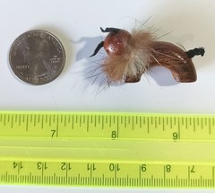 Vintage Wood, Fur, Leather, Rhinestone Animal Creature Brooch – Lion?