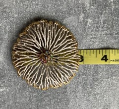 Vintage 1970s PARK LANE Large White Enamel Rhinestone Coral Flower BROOCH PIN