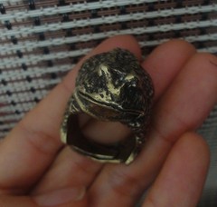 Vintage Style Solid Brass Frog Ring Tiger Stripe Design (20MM) US 10