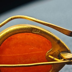 Vintage Soviet Baltic Amber Beetle Spider Brooch Honey Amber