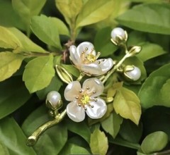 Jasmine Brooch Pin, White Jasmine Flower Brooch Pin, Floral Pin, Gift Ideas