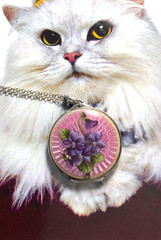 LOVELY Antique STERLING ENAMEL GUILLOCHE PINK LOCKET w VIOLETS Necklace M*I*N*T