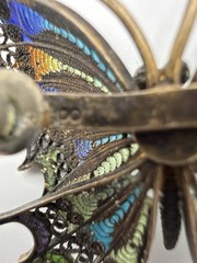 Antique 800 Silver Filigree Enamel Butterfly Brooch Multicolor Blue Green Pin